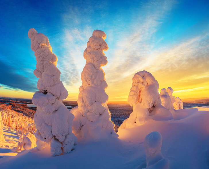 Мороз укутал снежком деревья в Лапландии
