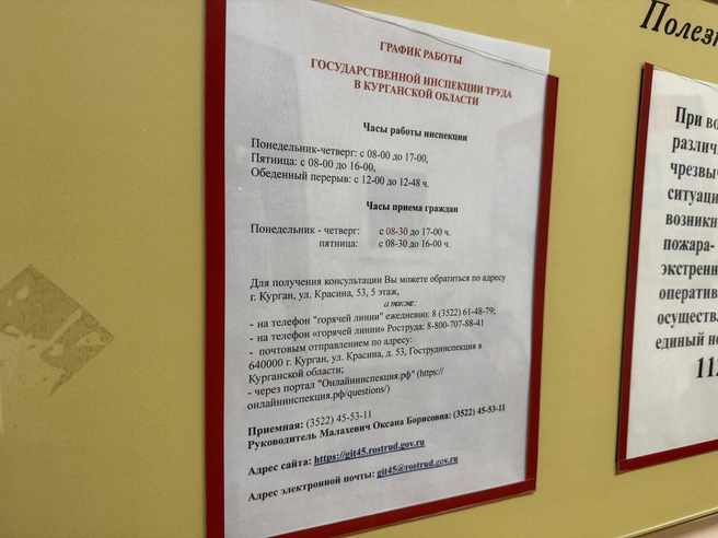 В Государственной инспекции труда в Курганской области работает телефон горячей линии | Источник: Юлия Король / 45.RU