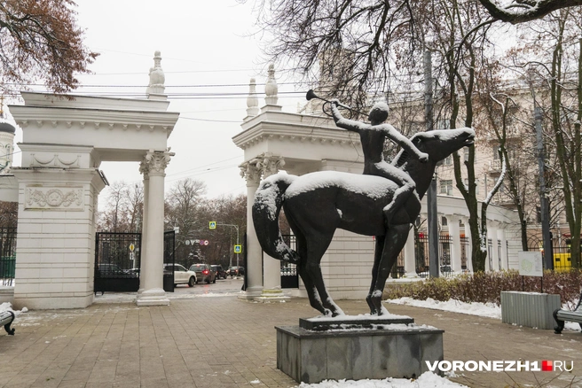 Источник: Дмитрий Волгин / Voronezh1.ru