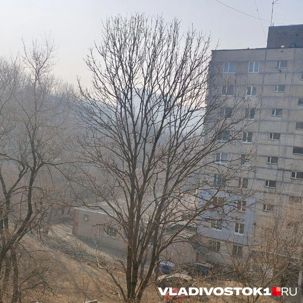 Источник: VLADIVOSTOK1.RU