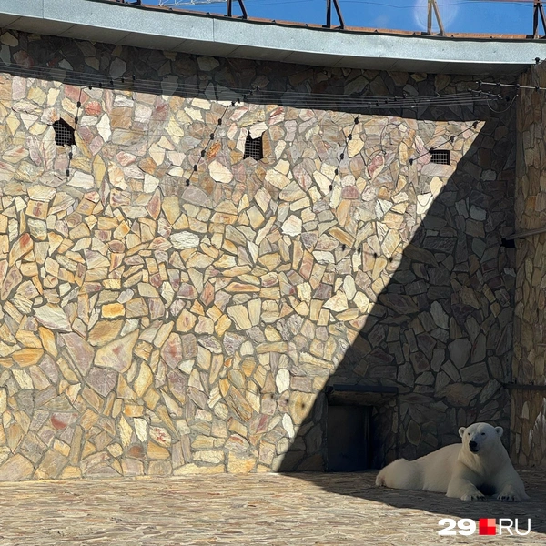 Источник: Валерия Богатырёва / 29.RU