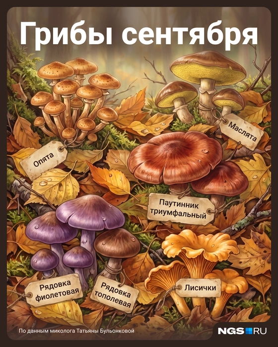 Источник: Семен Казьмин / Городские медиа