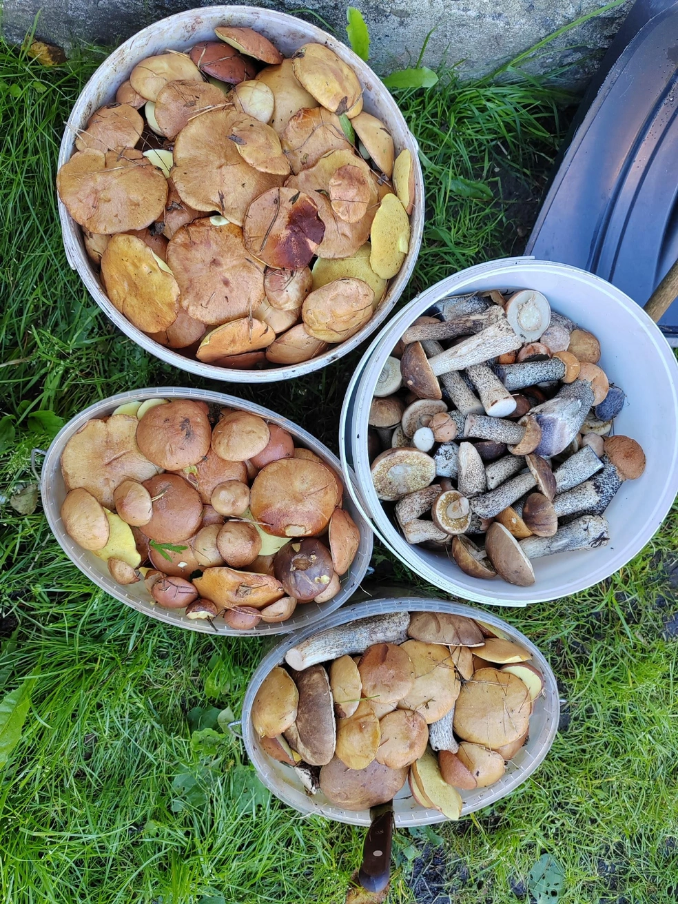 Источник: Йоргина Бобыкина