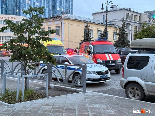 Источник: Полина Краснопевцева / E1.RU