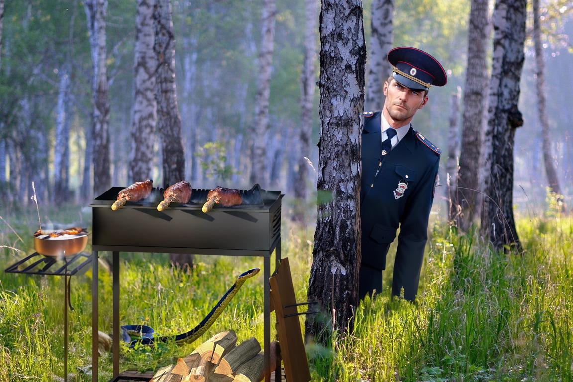 На страже экологии: фотоловушки помогают выявлять нарушителей