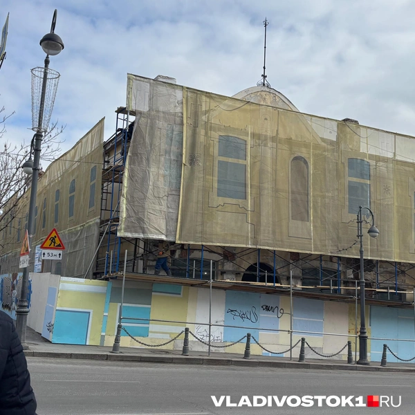 Источник: Елена Буйвол / VLADIVOSTOK1.RU