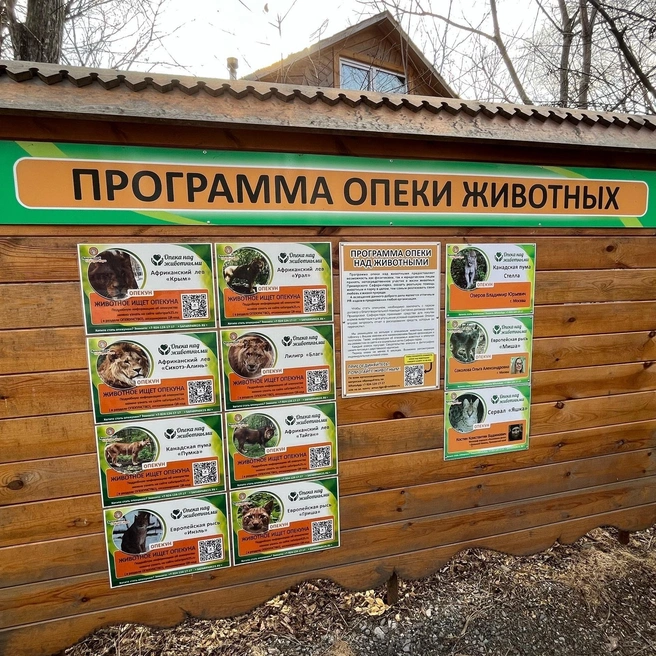 Если считать куар-код, о каждом звере можно почитать подробней | Источник: Анастасия Микула