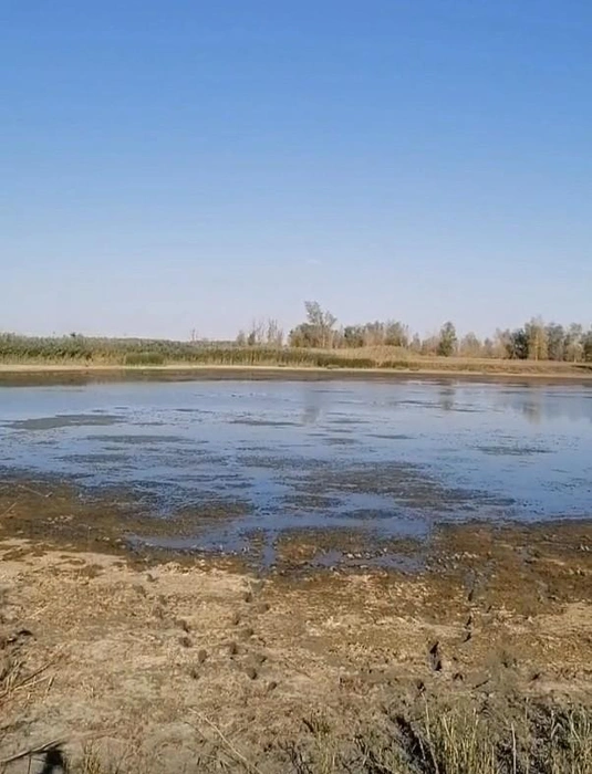 Ерик Дубок | Источник: читатель V1.RU