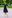 Мода Осень-Зима 2015-2016: Don Fashion