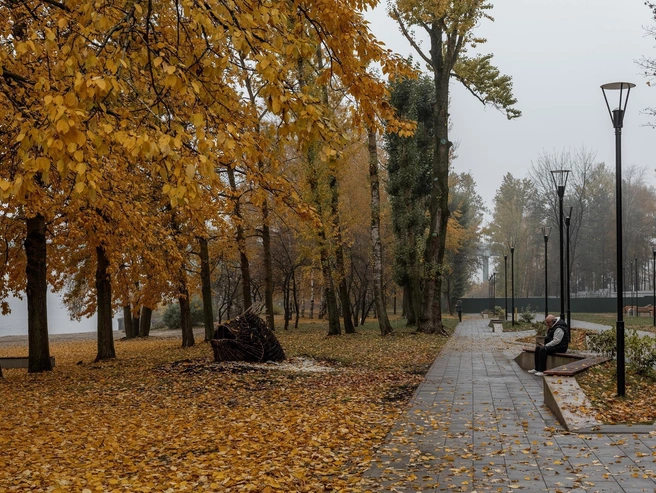 Отличное место, чтобы насладиться тишиной и спокойствием | Источник: Александр Куренной / 76.RU