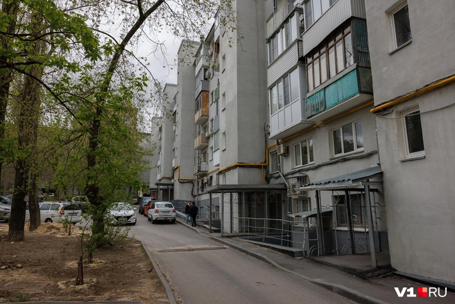 С тараканами борется не только Александр Шибаев, но и все жители подъезда | Источник: Алексей Волхонский / V1.RU