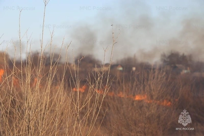 МЧС выявляет поджигателей сухой травы в Приамурье