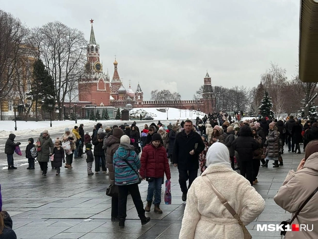 Сотни людей выстроились в очереди: как попасть на кремлевскую елку в Москве | Источник: Артем Устюжанин / MSK1.RU