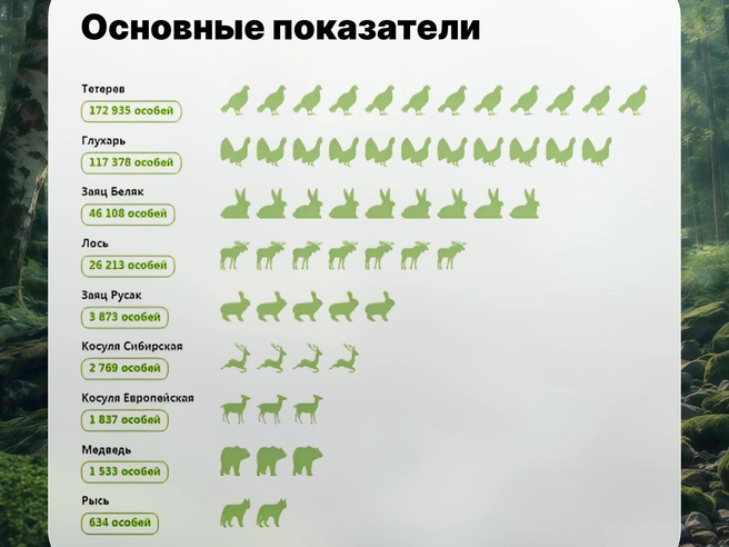 Численность диких животных в Нижегородской области | Источник: Министерство лесного хозяйства НО / Vk.com