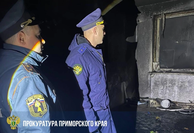 Также прокуратура даст оценку работе органов, контролирующих условия жизни в семьях с детьми | Источник: Прокуратура Приморского края / Telegram-канал