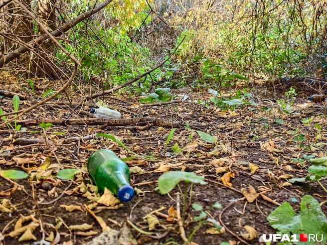 Такие бутылки мимикрируют под листву | Источник: Булат Салихов / UFA1.RU