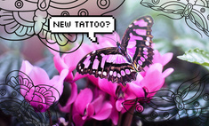 Тест-рулетка: Выбери бабочку, и мы скажем, где тебе сделать татуировку ????