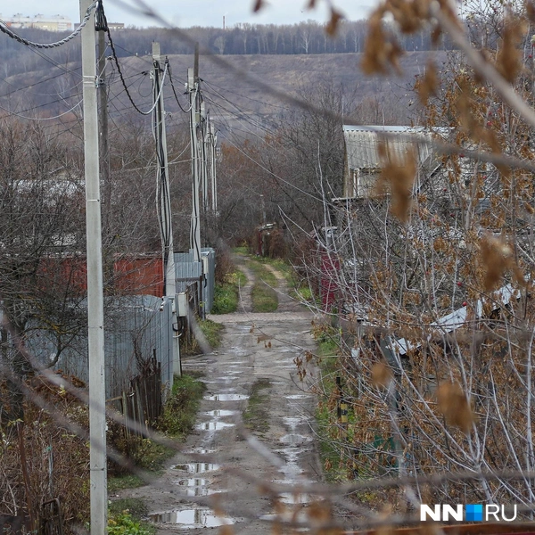 Территория граничит с СНТ «Карповское» | Источник: Наталья Бурухина / NN.RU