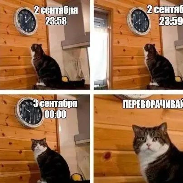 Источник: соцсети
