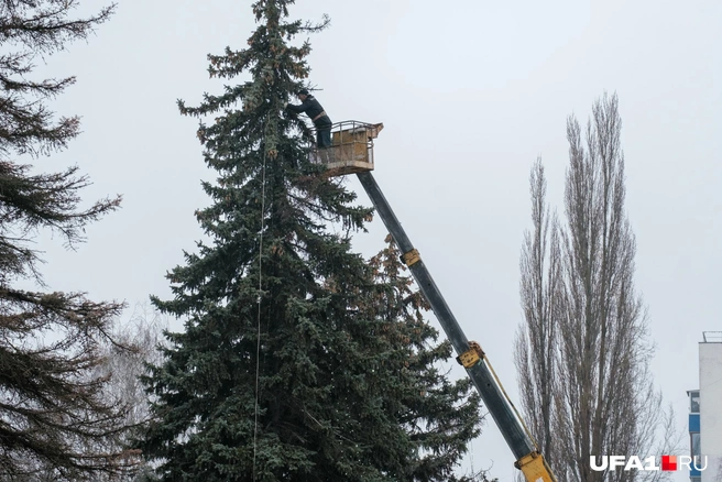 Гирлянды уже пора вешать | Источник: Булат Салихов / UFA1.RU