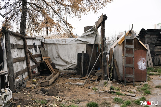 Рядом раньше была голубятня. Ей занимался покойный отец Олега | Источник: Наталья Лапцевич
