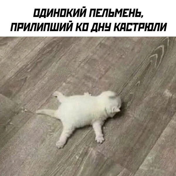 Источник: Соцсети