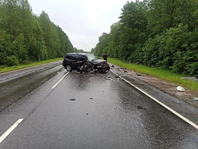 Водитель Wey выехал на встречку на «Нарве»: двое оказались в больнице, один погиб | Источник: ФКУ Упрдор «Северо-Запад»