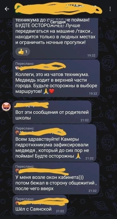 Пересланные обсуждения медведя | Источник: Елена Аркашина / Подслушано Дивногорск / VK