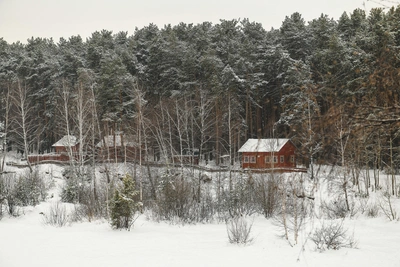 Охотник застрелил человека в лесу под Тюменью