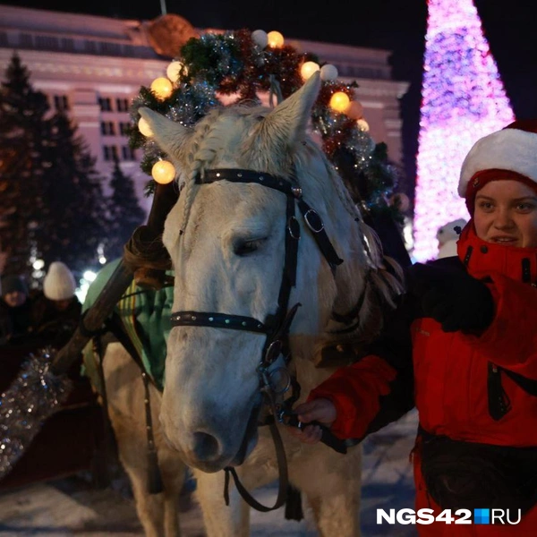 Источник: Максим Серков / NGS42.RU