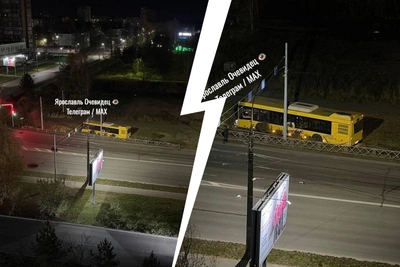 Автобус в Ярославле съехал с дороги, объезжая животное
