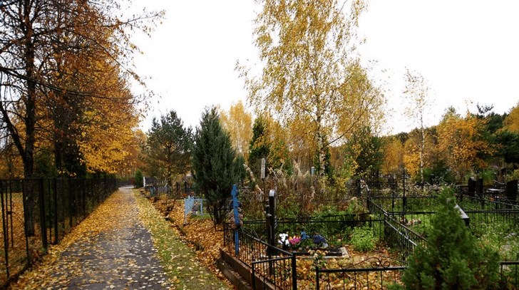 Анкудиновское кладбище