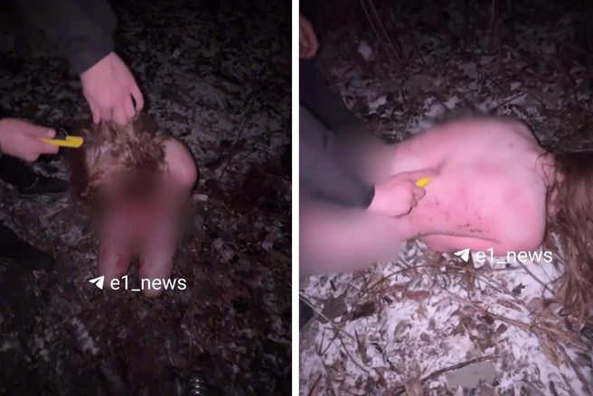 Обвиняемым светит серьезный срок | Источник: читатель E1.RU