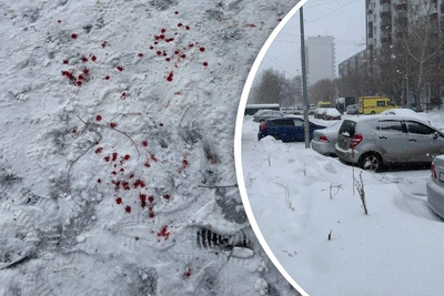 У школьника в Тюмени в руке взорвалась петарда