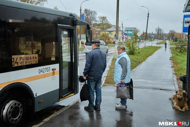 Маршруты «Мострансавто» перевели на осеннее расписание | Источник: Дмитрий Толстошеев / MSK1.RU