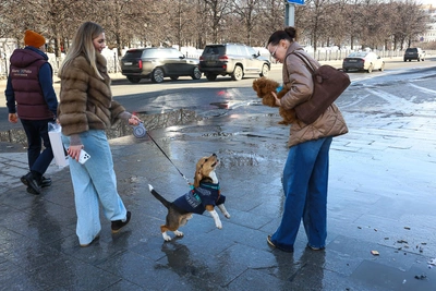 Потепление в ХМАО до +8°С на неделе, но в некоторых районах морозы