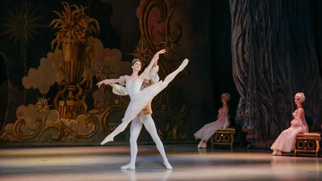 Билеты в Воронеже стоят не так много, как в столице | Источник: Воронежский театр оперы и балета / theatre-vrn.ru