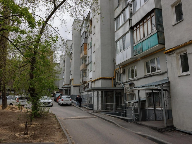 С тараканами борются все жители подъезда, не только Александр Шибаев | Источник: Алексей Волхонский / V1.RU