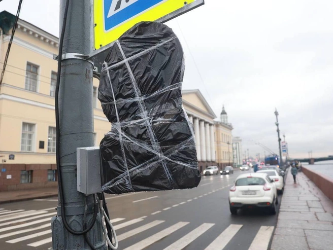 Полиция Петербурга предупреждает о мошеннической схеме с поддельными штрафами за парковку | Источник: «Фонтанка.ру»