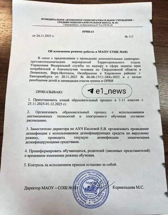 Приказ о переводе детей на дистанционное обучение | Источник: читатель E1.RU