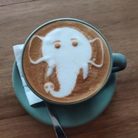 Приобретает шоколадный вкус: почему так хорош кофе, прошедший через желудок слона?