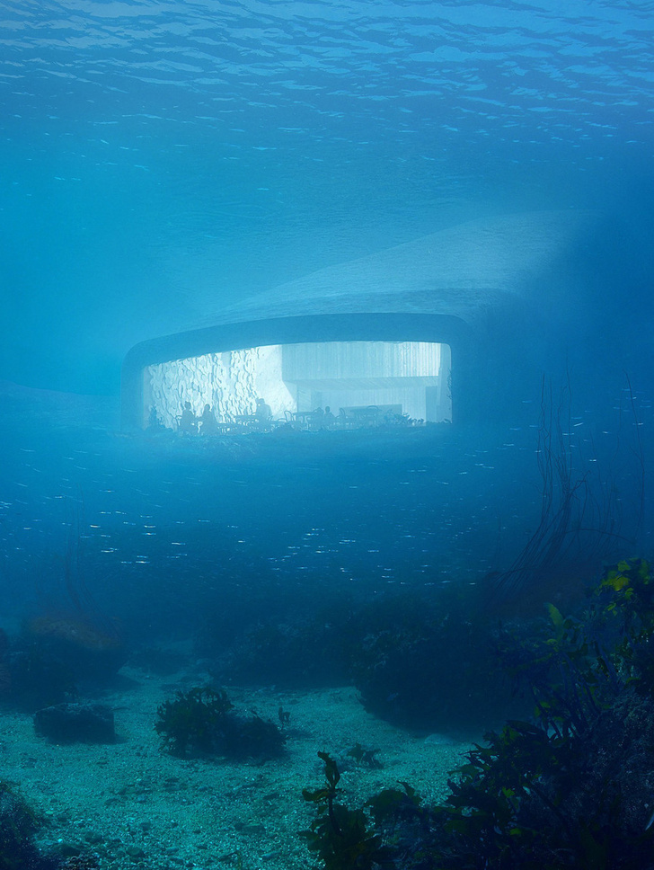 Подводный ресторан в Норвегии фото [5]