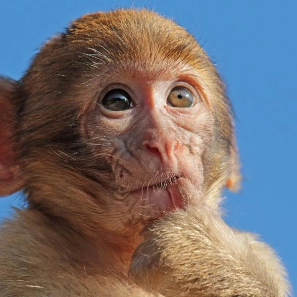 Источник: Соцсети