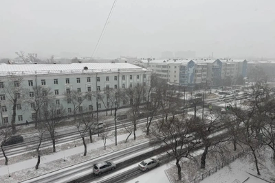 Имамеев призвал пешеходов и водителей к осторожности