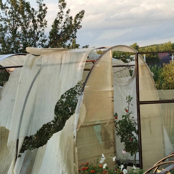 Источник: Инфо-портал Новая жизнь Суксун / Vk