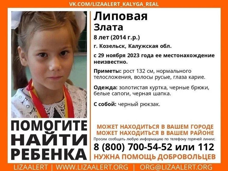 В Калужской области похитили 8-летнюю девочку и требуют у ее матери 1,5 миллиона