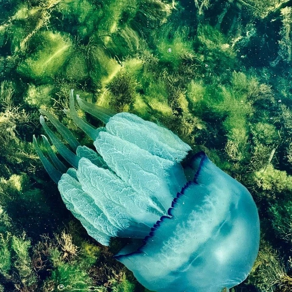 Источник: Бельбекская долина. Крым / Vk.com