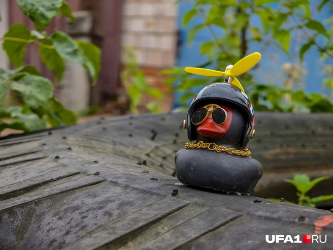 Источник: Булат Салихов / UFA1.RU