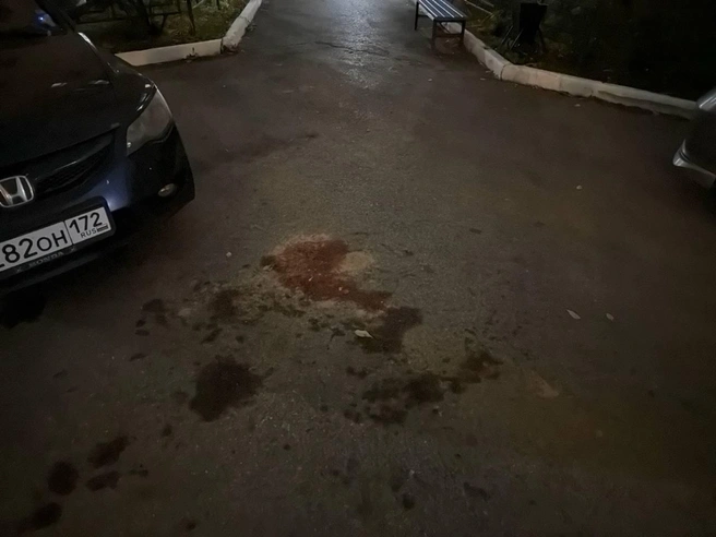 На асфальте там, откуда ночью раздавался женский крик, остались засохшие следы крови | Источник: Анастасия Малышкина / 72.RU
