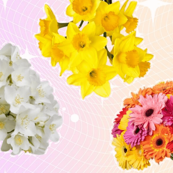 Какие цветы подарить девушкам на 8 Марта по знаку зодиака
